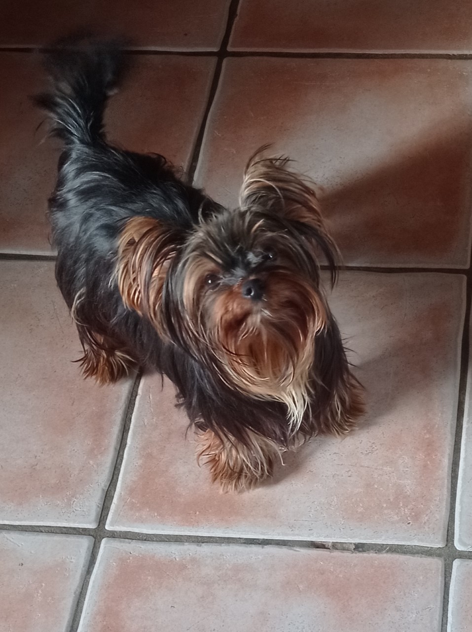 sweety3