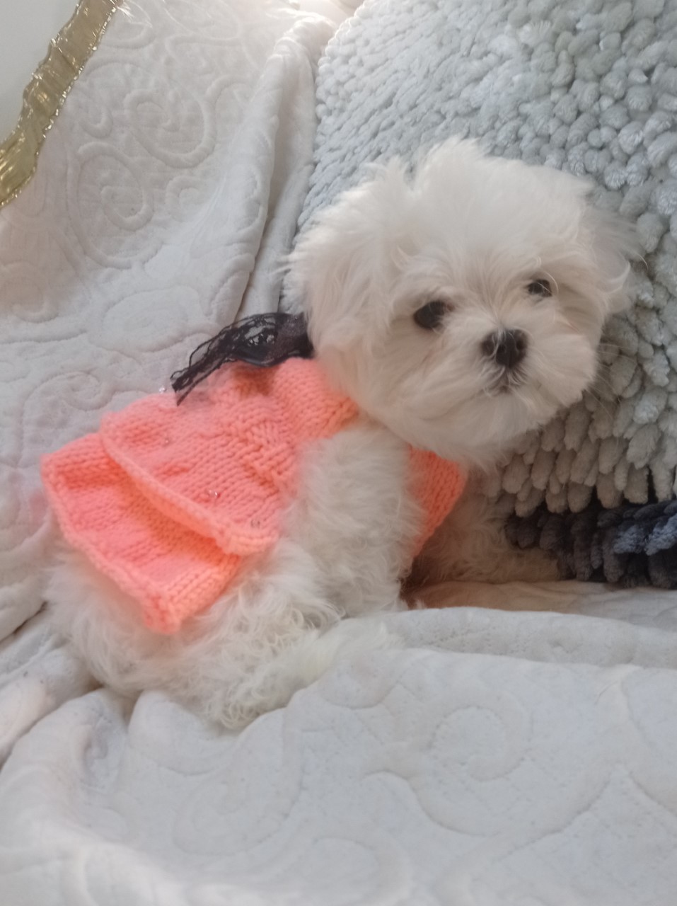 sally2mois