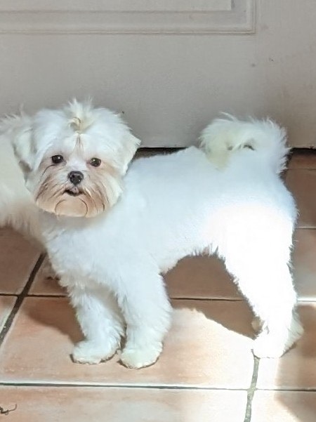 titou.mars2023